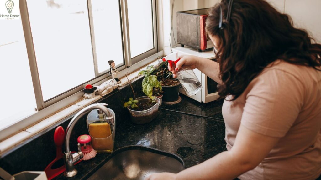 How to Get Rid of Gnats: Proven Ways to Eliminate Them